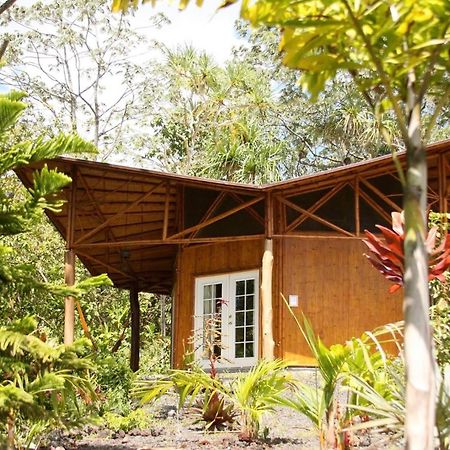 Kalani Oceanside Retreat Villa Pahoa Exterior foto