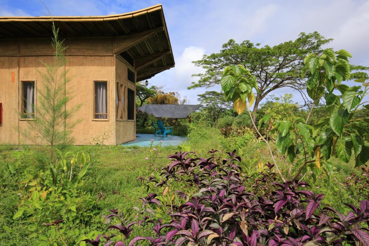 Kalani Oceanside Retreat Villa Pahoa Exterior foto