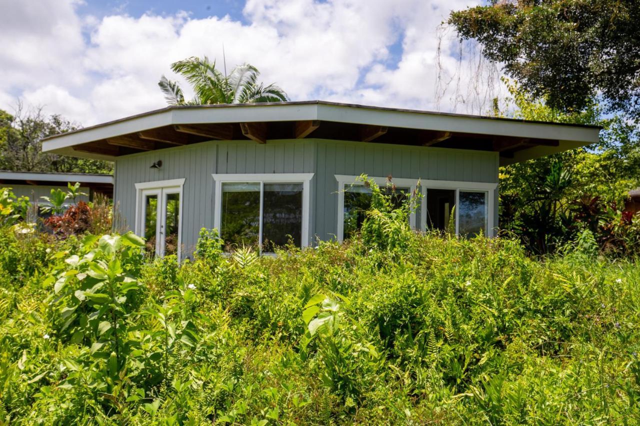 Kalani Oceanside Retreat Villa Pahoa Exterior foto