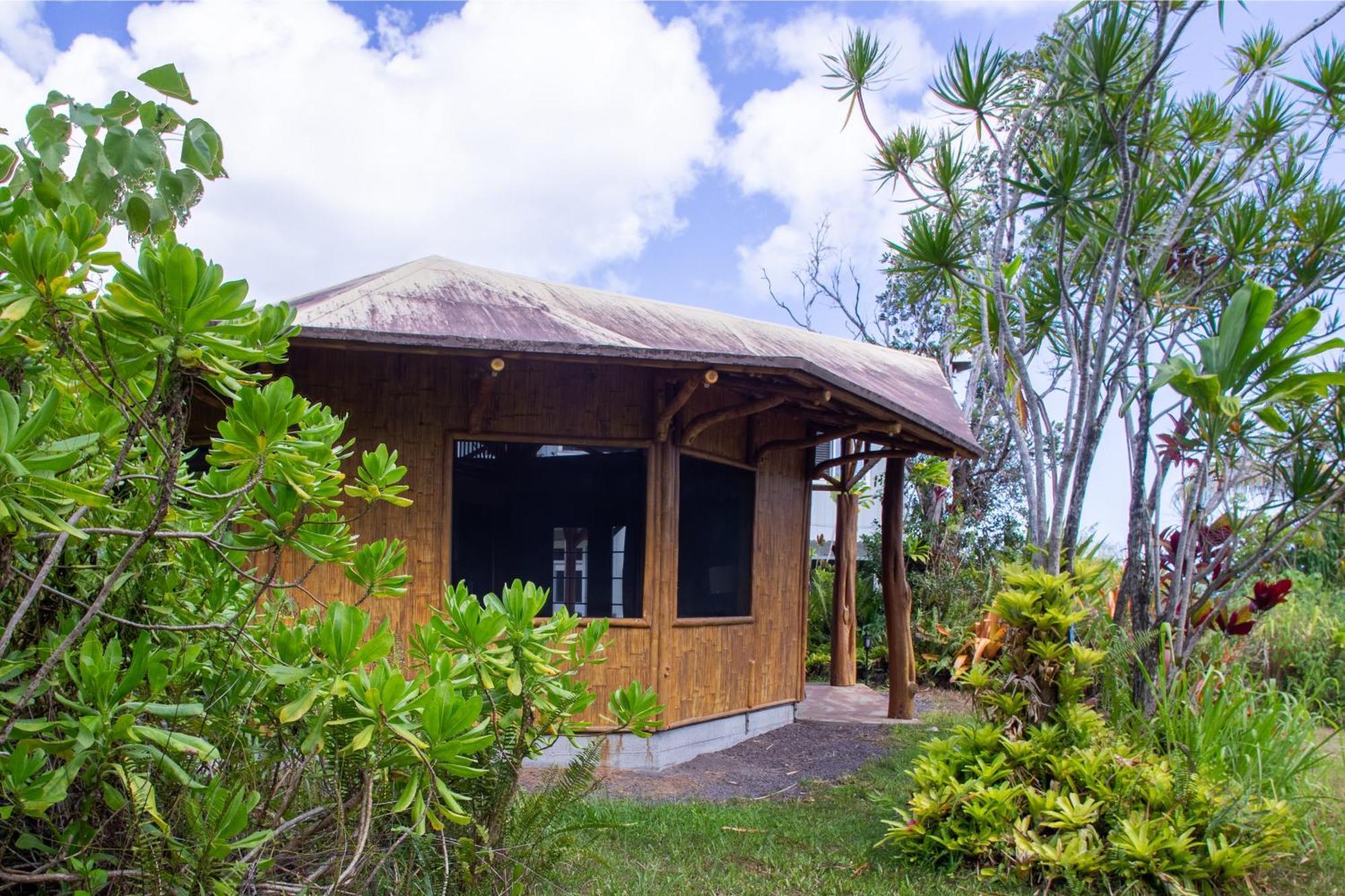 Kalani Oceanside Retreat Villa Pahoa Exterior foto