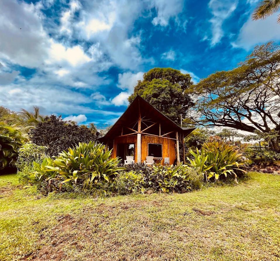 Kalani Oceanside Retreat Villa Pahoa Exterior foto